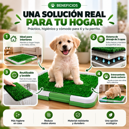 PetLoo™| La naturaleza, ahora juega de local