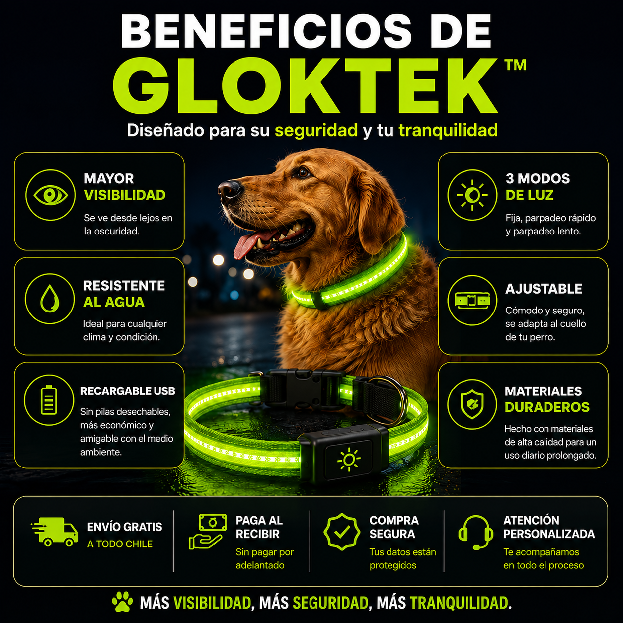 GlowTek™|Visibilidad que acompaña cada paseo