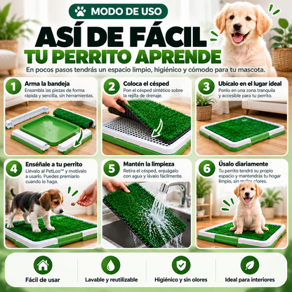 PetLoo™| La naturaleza, ahora juega de local